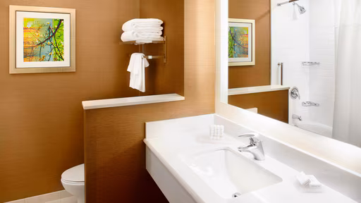 pitxw-bathroom-0008-hor-wide